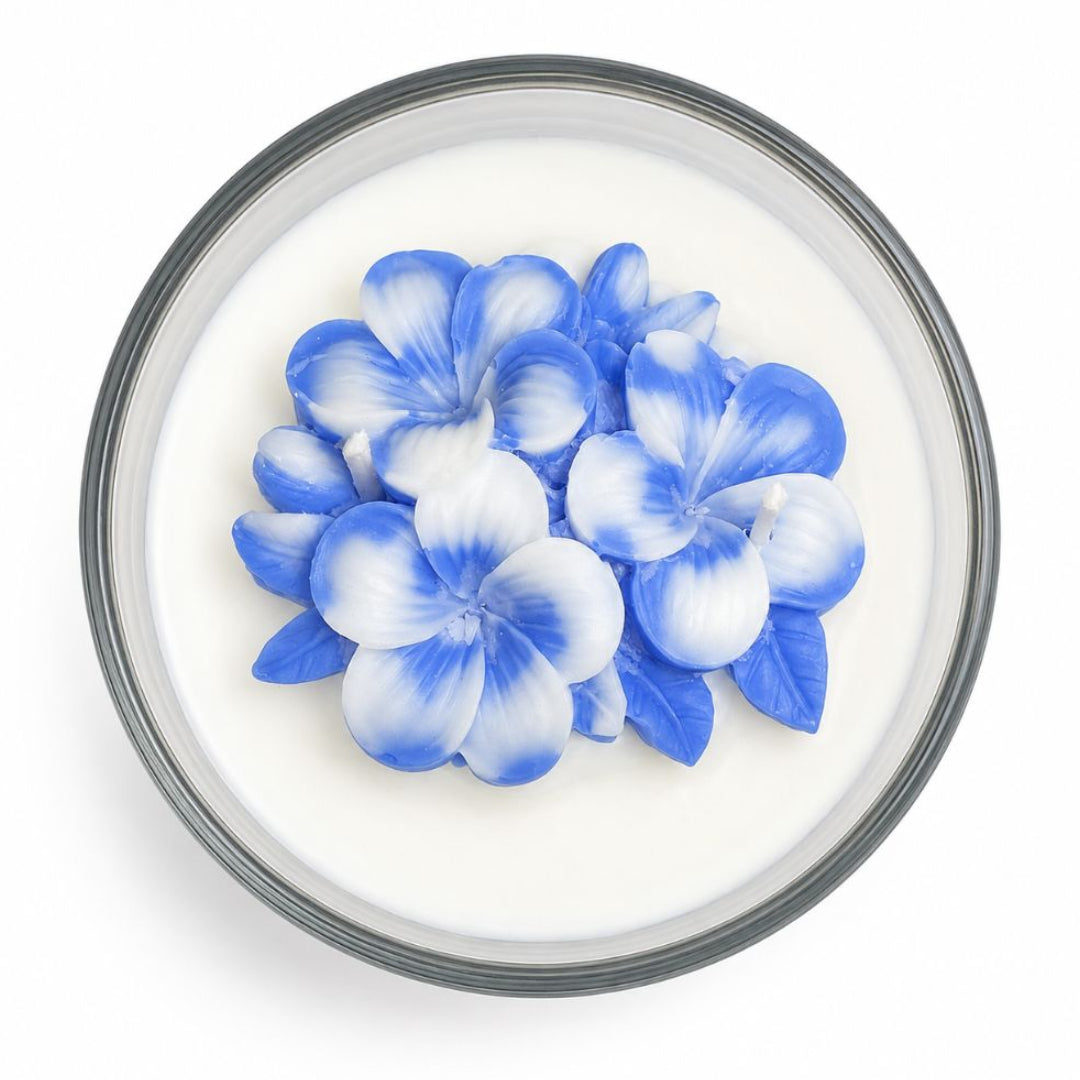 The Gilded Wick Fynbos — Luxury Home Fragrance Candle | Stellenleaf